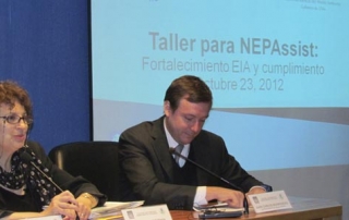 taller nepassist
