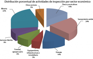 grafico1-01