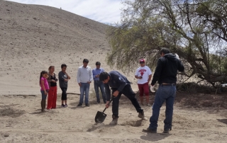 proyecto Tierra Amarilla NOTA