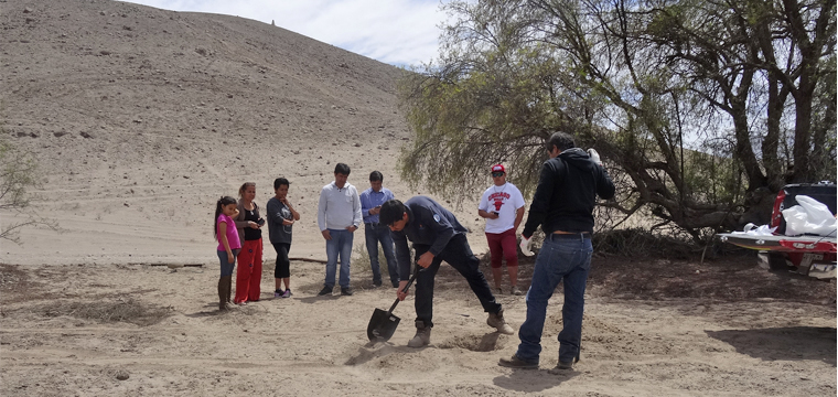 proyecto Tierra Amarilla NOTA