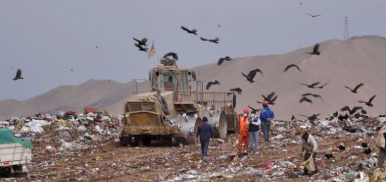 ElBoroIquique