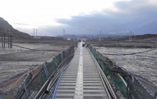 Foto de referencia de centro de cultivo de salmones